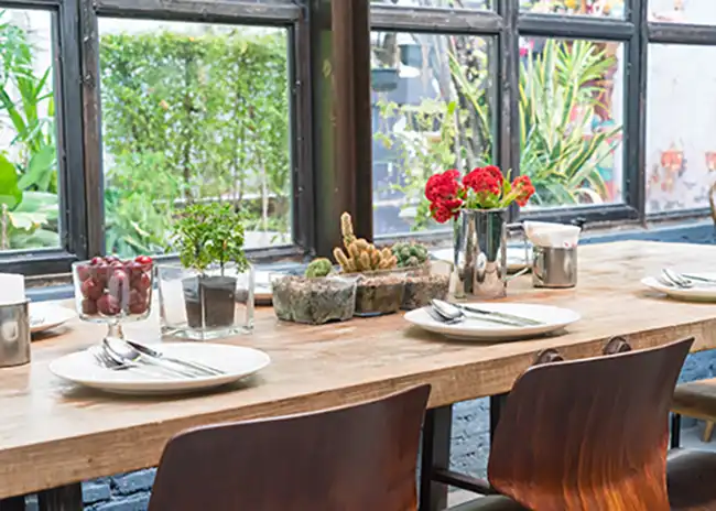 Beautifully set dining table in a bright, indoor setting with large windows, featuring plates and cutlery, decorative plants, and red flowers as a centrepiece, creating a fresh and inviting atmosphere.