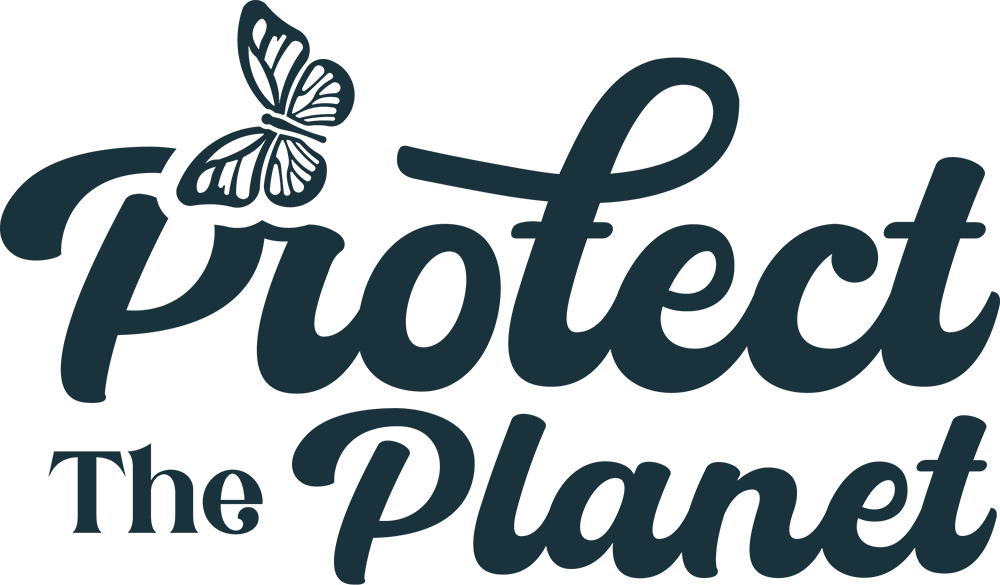 sustainability branding with elegant script typography and butterfly icon for an eco-focused brand