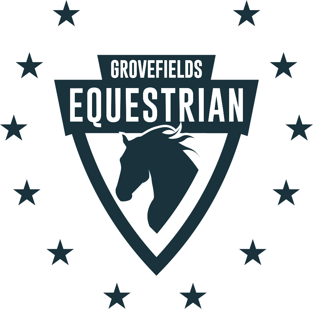 Equestrian branding with a horse head inside a shield surrounded by stars